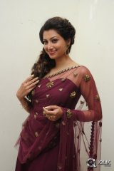 Hamsa Nandini at Bengal Tiger Movie Audio Launch
